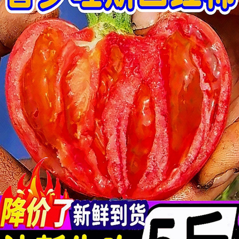 云南沙瓤普罗旺斯西红柿斤新鲜生吃的铁皮自然熟水果农家大番茄,水产肉类/新鲜蔬果/熟食,黄瓜,淘宝优惠券,粉丝福利购,淘宝优惠卷