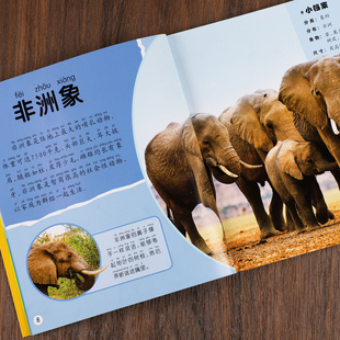 动物百科全书注音版3-6-8-9岁科普大百科全书幼儿童小学生一二年级阅读课外图书老虎狮子斑马北极熊人事动物世界儿童早教故事绘本