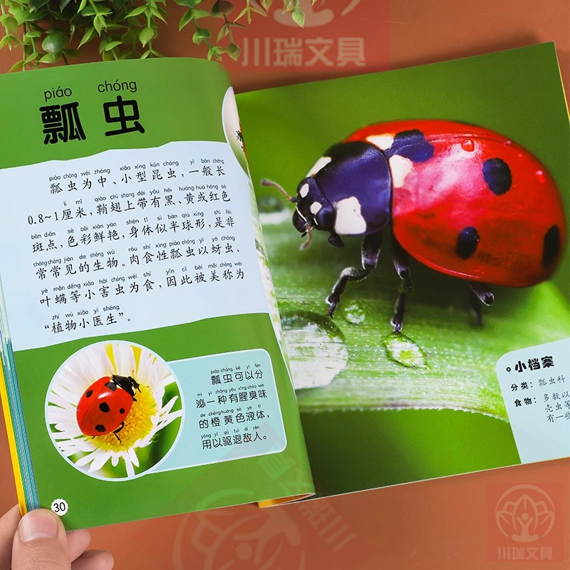 儿童昆虫百科全书 昆虫书籍幼儿绘本认识虫子知识科普书课外阅读一年级课外书幼儿绘本知识小百科认知图片小学生大百科昆虫记王国