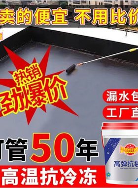 屋顶防水补漏材料 碧家索高弹抗裂宝楼顶裂缝修材料防水涂料