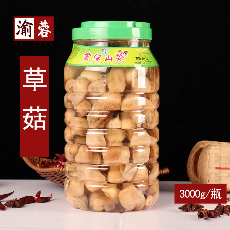 包邮草菇3000g瓶装清水食用菌新鲜滑子菇香菇菌类餐饮商用