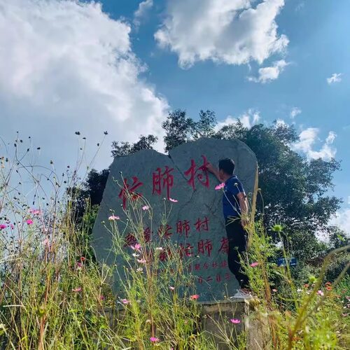 忙肺古树200g头春永德老班章茶气霸回甘迅猛 山头茶资深玩家品鉴