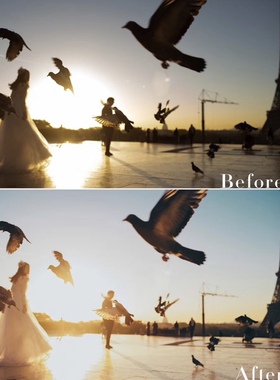 国内小众高级卜马风格第二期ps camera raw预设