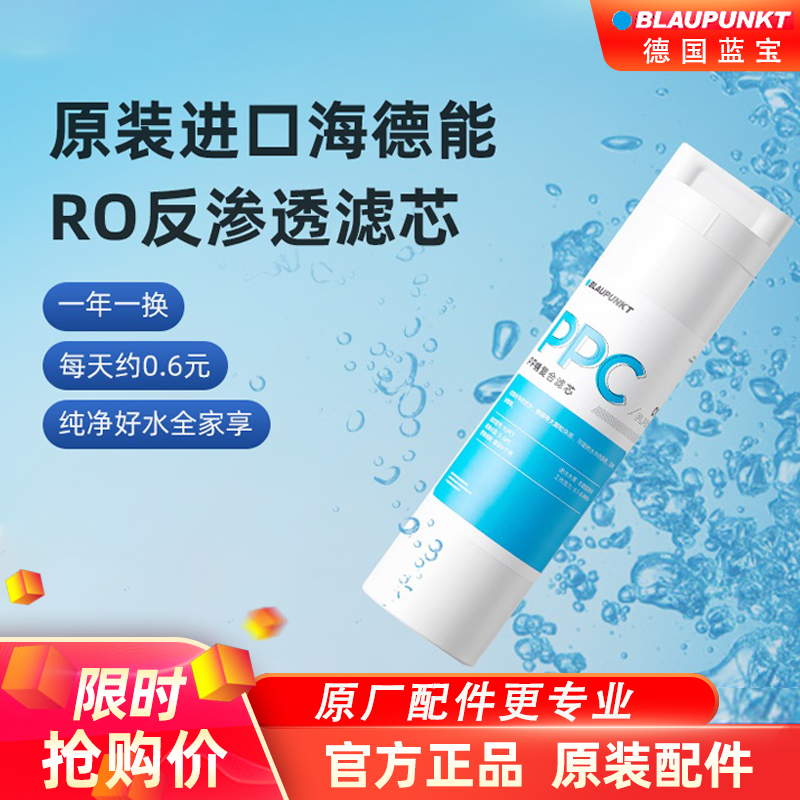 德国蓝宝家用直饮净水器ppc复合滤芯dm01即热饮水机滤芯原装配件