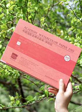 宝虹水彩纸水彩本绘画本手绘学院级300g棉浆纸8k中粗细纹画画本16k四面封胶随身旅行画册32k4开油画棒彩铅纸