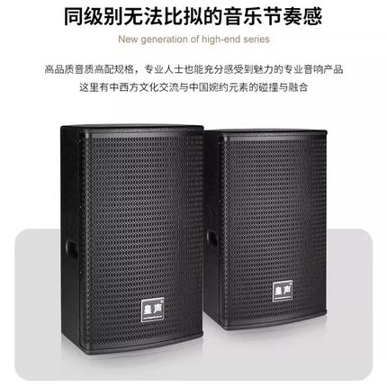 KingAudio/皇声D10音箱 专业KTV家庭唱歌清吧酒吧10寸350W一对