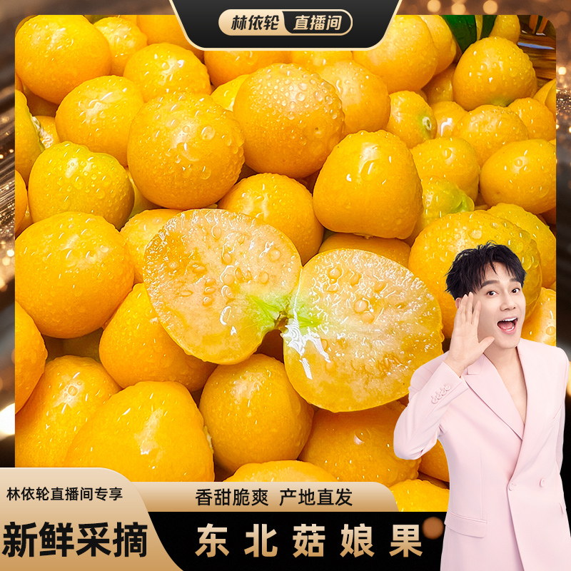 东北特产菇娘果香甜黄金莓
