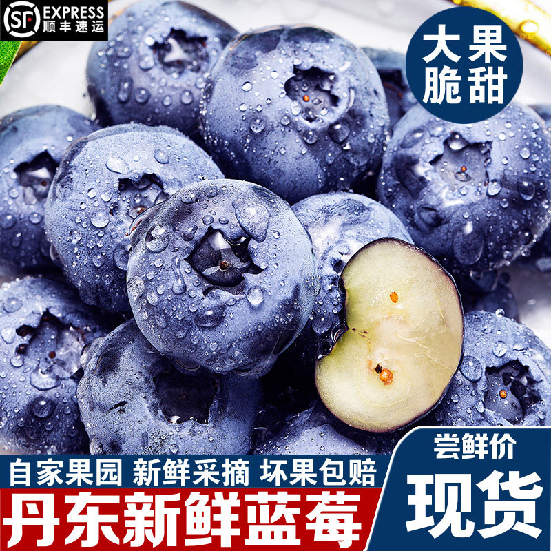 丹东大蓝莓新鲜水果超大果当季花香蓝莓当季水果宝宝辅食