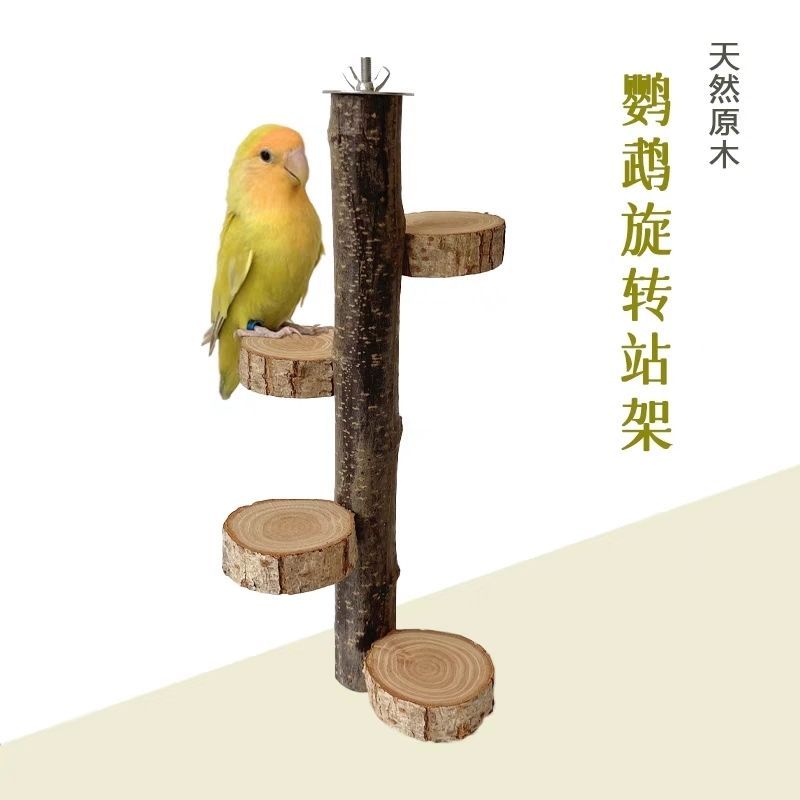 玄凤牡丹鹦鹉栖息实木攀