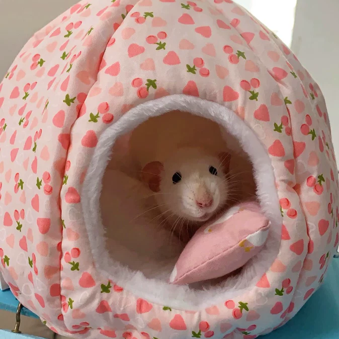 小枕头专拍窝窝配饰荷兰猪仓鼠花枝鼠龙猫金丝熊兔子枕头,宠物/宠物食品及用品,窝,淘宝优惠券,粉丝福利购,淘宝优惠卷