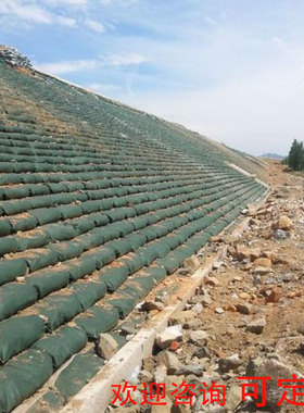 护坡绿色生态袋边坡防护绿化河道防汛环保土工山坡挡土草籽植生袋