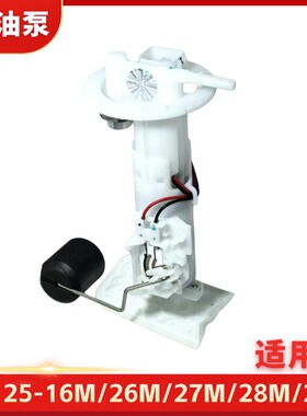 适用于DY125T-16M/26M/27M/28M/29M大阳电喷摩托车燃油汽油泵马达