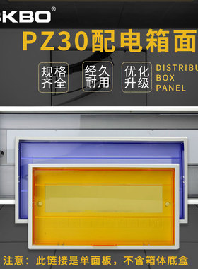 PZ30电箱盖板家用维修换新通用盖子强电箱装饰画罩子塑料盖面板