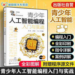 青少年人工智能编程入门与实战 人工智能入门 Kittenblock在线人工智能项目 未来板与人工智能 离线型人工智能 中小学信息技术书籍