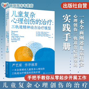 儿童复杂心理创伤的治疗 三轨道精神动力治疗模型 儿童复杂心理创伤三轨道治疗模型实践手册 儿童心理学心理创伤疗愈治疗应用书籍