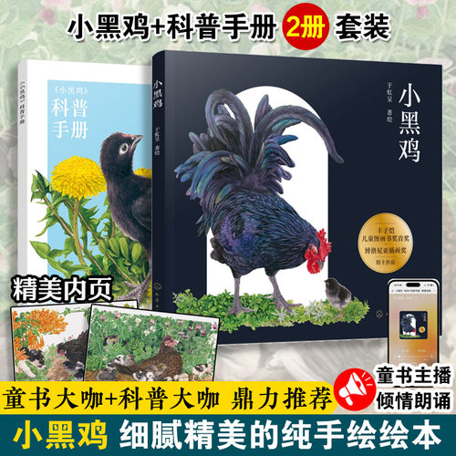 绘本故事书小黑鸡科普手册