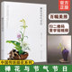 插花艺术与格律诗词结合 中国传统插花二十四节气岁时文化 禅艺插花生活指导 禅花与节气节日 中式 传统插花艺创作欣赏制作步骤书