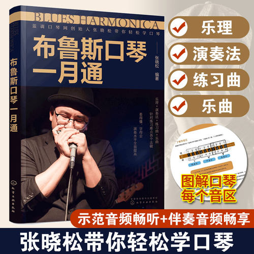 布鲁斯口琴一月通入门书籍