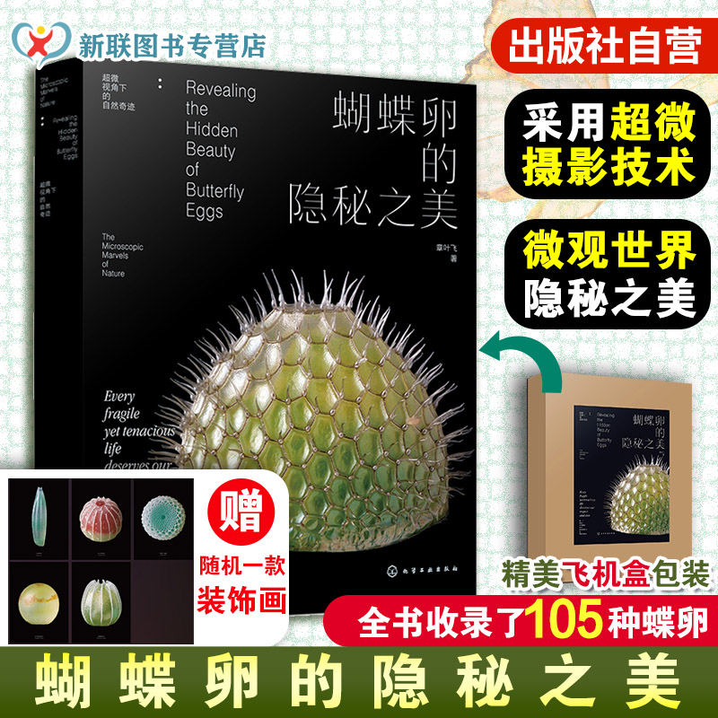 蝴蝶卵的隐秘之美 章叶飞 蝴蝶生长发育自然科普读物 昆虫科普图鉴微距摄影 蝴蝶大百科 昆虫记虫子王国 野外蝴蝶图解图谱一本通书