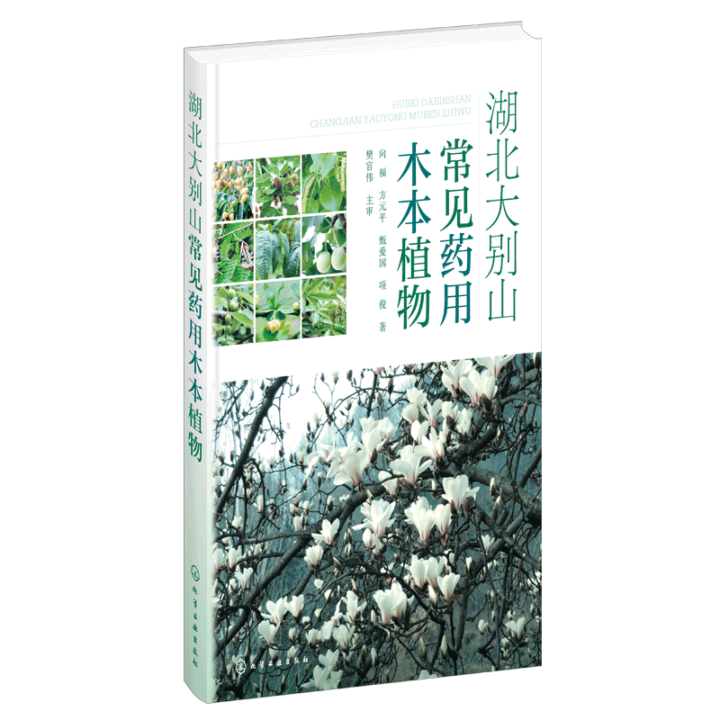 湖北大别山常见药用木本植物