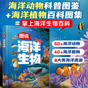 图说海洋生物 了解生物特征习性生态环境 15岁儿童中小学生青少年海洋动植物百科科普图鉴图集 提升学习能力科学素养书 正版