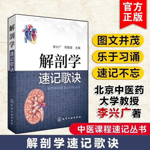 解剖学速记歌诀