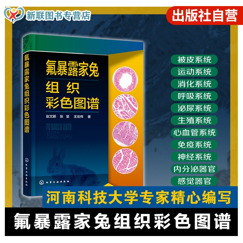 氟暴露家兔组织彩色图谱