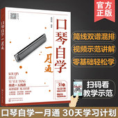 24孔口琴自学入门基础练习曲教程流行口琴简谱歌曲书曲谱琴谱口琴基本演奏法教材图书籍 简谱五线谱版 附视频讲解 口琴自学一月通