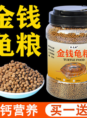 石金钱龟粮黄缘安缘火焰龟石龟