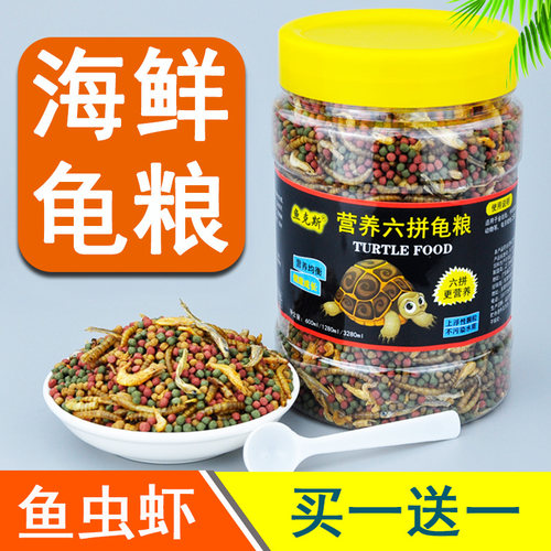 营养丰富 龟龟爱吃