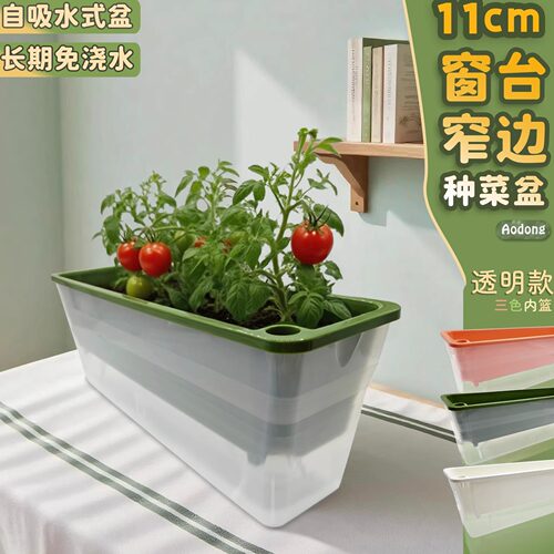窄宽11CM懒人自吸水透明种植盆