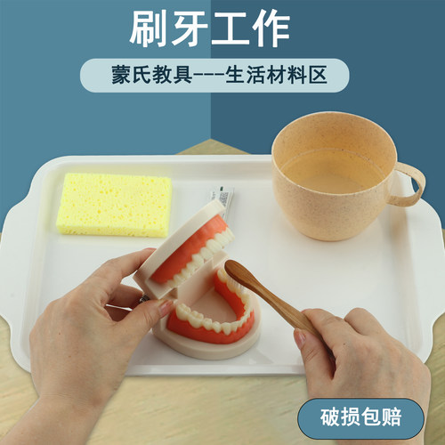 精细动作训练牙刷工作