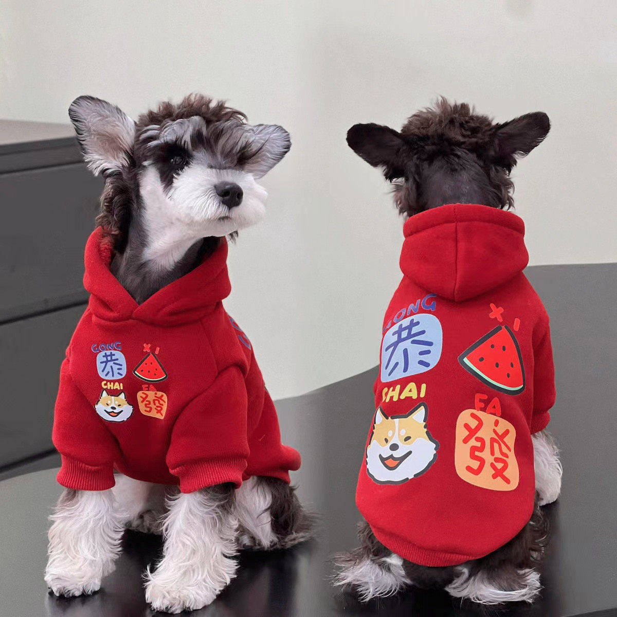 加绒保暖泰迪狗狗衣服秋冬天中小型犬博美雪纳瑞小狗连帽宠物卫衣,宠物/宠物食品及用品,猫宠物服装/雨衣（新）,淘宝优惠券,粉丝福利购,淘宝优惠卷