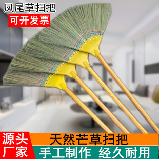植物 芒草笤帚 凤尾草扫把 草笤帚 塑料头芒草扫把 八丁扫把