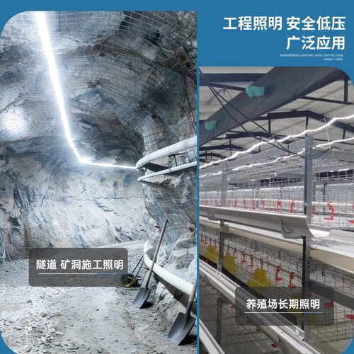 36V户外防水LED灯带24V工程隧道塔吊工地楼梯照明养殖220V灯带条