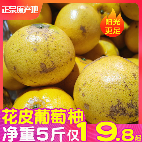 金西柚素材模板 金西柚图片下载 小麦优选 金西柚素材模板 金西柚图片下载 小麦优选