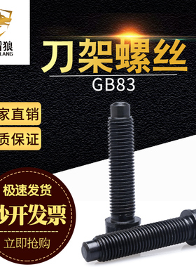 刀架螺丝  方头螺丝 四方螺栓 车床压模具螺丝gb83刀台罗丝m16m20