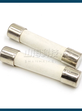 进口力特6*32 10A陶瓷保险丝管314 F10A 250VP快熔断 0314010.MXP