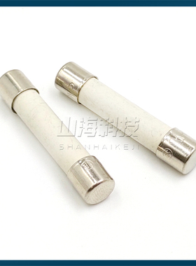 进口力特6*32 20A陶瓷保险丝管314 F20A 250VP快断0314020.MXP