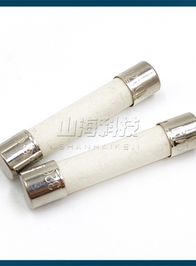 进口力特 6*30 25A陶瓷保险丝管 T25A 250V延时慢熔断0326025.MXP