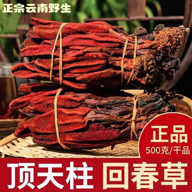 云南回春草野生泡水红茶茴椿草一斤肉苁蓉锁阳不老草深山采