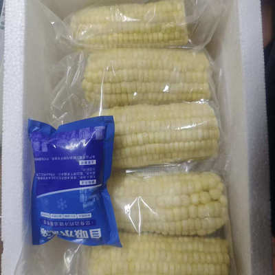 【不是真空冷速冻玉米段】诚信古塔东北软糯香甜黄/白8公分代餐