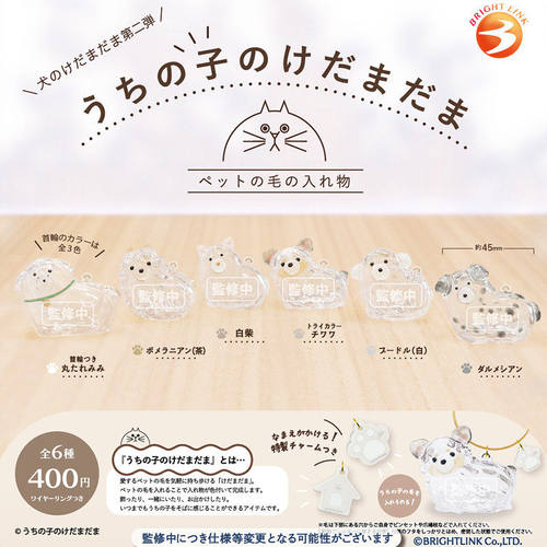 【星】预售扭蛋 BRIGHT LINK 第2弹 透明狗毛收纳盒吊饰 胶囊