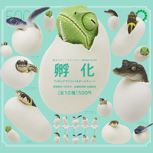 【星】预售扭蛋孵化的爬