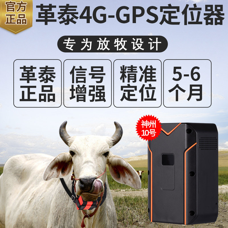 革泰牛羊定位器gps卫星北斗山区放牧马追踪神器超长待机远程10号