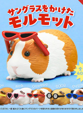 【晴谷】现货扭蛋戴太阳