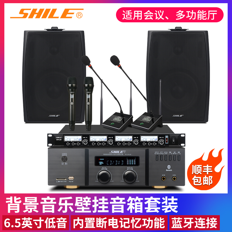 狮乐 2011B/105/2会议室音响功放套装无线话筒挂墙式专业挂壁店铺