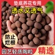 陶粒垫底多肉植物透气养花盆栽鱼缸水培铺面石回填园艺陶粒颗粒
