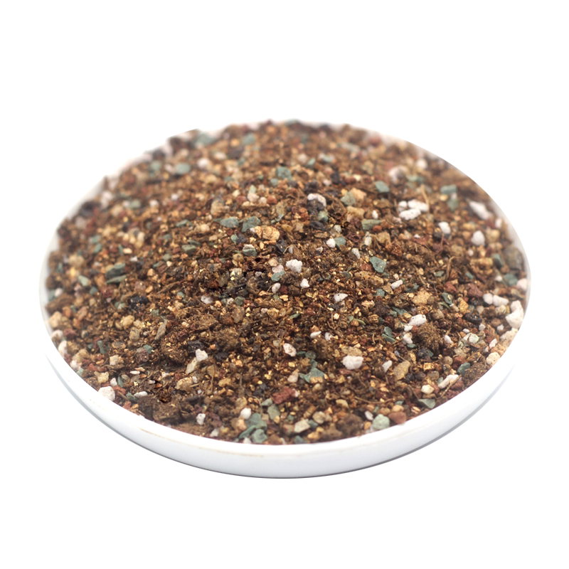 生石花专用土多肉屁屁种植营养土播种pp铺面石肉锥种植种子颗粒土