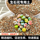 生石花专用土多肉屁屁种植营养土播种pp铺面石肉锥番杏科颗粒土